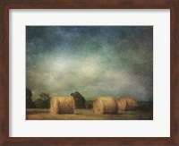 Hay Rolls Fine Art Print