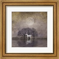 White Horse in Pond Fine Art Print