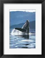 Humpback Whale Fine Art Print