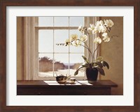 Orchids with Teapots Fine Art Print