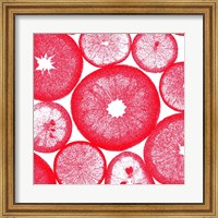 Red Lemon Slices Fine Art Print
