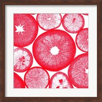 Red Lemon Slices Fine Art Print