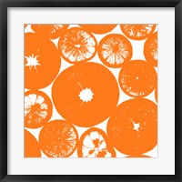 Orange Lemon Slices Framed Print
