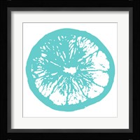 Aqua Orange Slice Framed Print