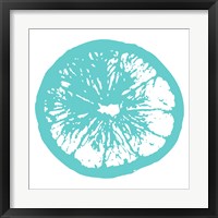 Aqua Orange Slice Framed Print