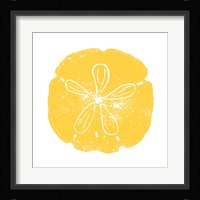 Yellow Sand Dollar Fine Art Print