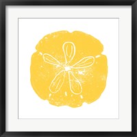 Yellow Sand Dollar Fine Art Print