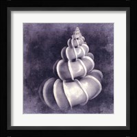 Ocean Blue III Fine Art Print