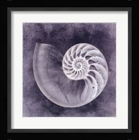 Ocean Blue IV Fine Art Print