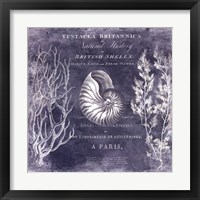 The Deep Blue Sea I Fine Art Print