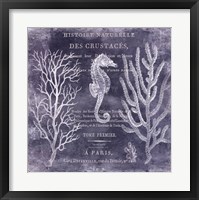 The Deep Blue Sea II Fine Art Print