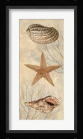 Ocean Companions I Framed Print