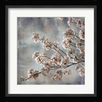 Aqua Blossoms I Framed Print