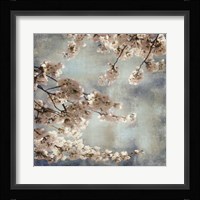 Aqua Blossoms II Framed Print
