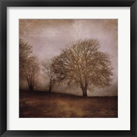 Morning Meditation II Framed Print