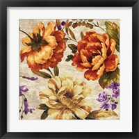 Brilliant Bloom II Framed Print