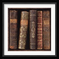 In The Library II Fine Art Print