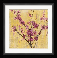 Fuchsia Blossoms I Framed Print
