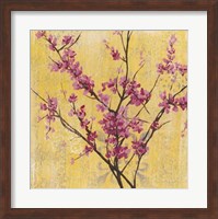 Fuchsia Blossoms I Fine Art Print