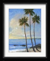 Tropical Breeze II Framed Print