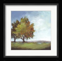Waiting For Fall I Framed Print