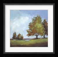 Waiting For Fall II Framed Print