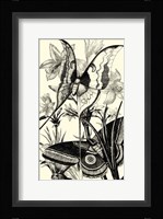 B&W Butterfly I Fine Art Print
