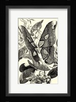 B&W Butterfly II Fine Art Print