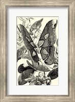 B&W Butterfly II Fine Art Print