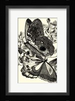 B&W Butterfly IV Fine Art Print