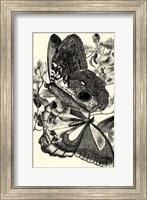 B&W Butterfly IV Fine Art Print