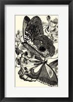 B&W Butterfly IV Fine Art Print