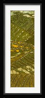 Vineyard Batik I Fine Art Print