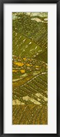 Vineyard Batik I Fine Art Print