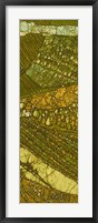 Vineyard Batik II Framed Print