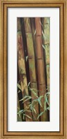 Bamboo Finale I Fine Art Print
