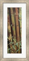 Bamboo Finale I Fine Art Print