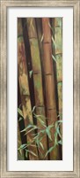 Bamboo Finale I Fine Art Print