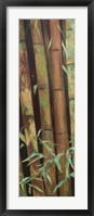 Bamboo Finale I Framed Print