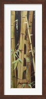 Bamboo Finale II Fine Art Print