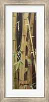 Bamboo Finale II Fine Art Print