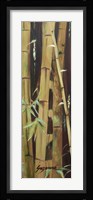 Bamboo Finale II Framed Print