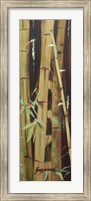 Bamboo Finale II Fine Art Print