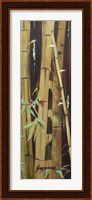 Bamboo Finale II Fine Art Print