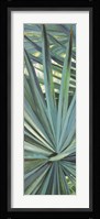 Fan Palm I Fine Art Print