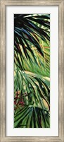 Just Fronds Fine Art Print