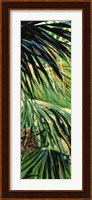 Just Fronds Fine Art Print