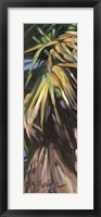 Wild Palm I Fine Art Print