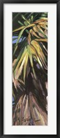 Wild Palm I Framed Print