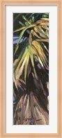 Wild Palm I Fine Art Print